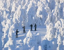 Lapland