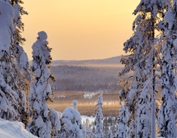 Weather In Lapland