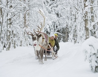 Reindeer Sledding by Visit Finland