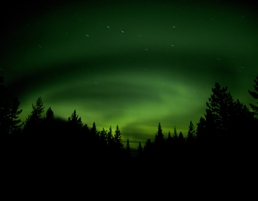 Northern Lights by Fredrik Broman/VisitSweden