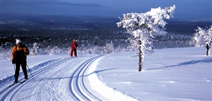 Lapland Winter Tour