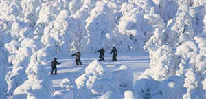 Slalom skiers - VisitFinland