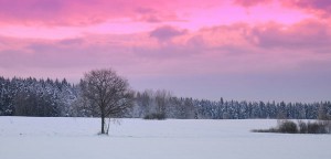 winter morning in Latvia