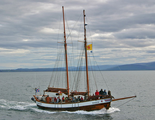 Schooner converted for whale watching trips.