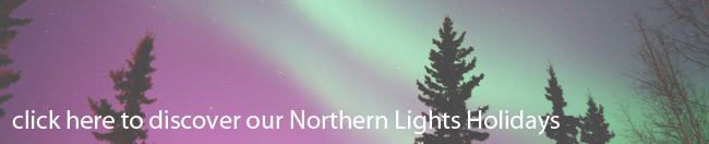 northern lights banner
