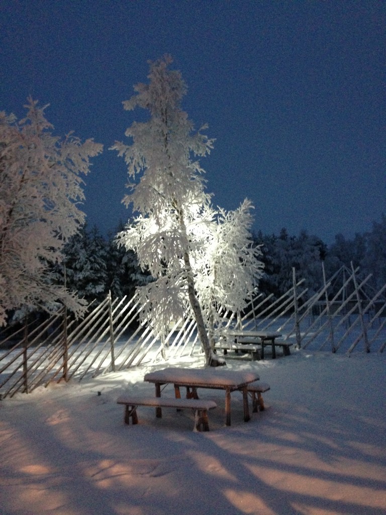 Jukkasjarvi Nov 14