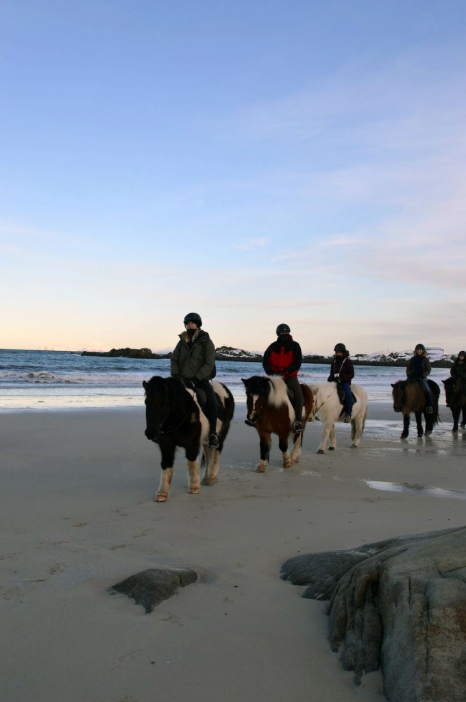 , Discovering the Lofoten Islands and Vesteralen in Norway