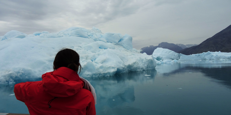 17 - Qooroq ice fjord