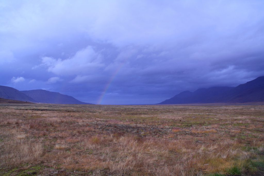 svalbard-lena3