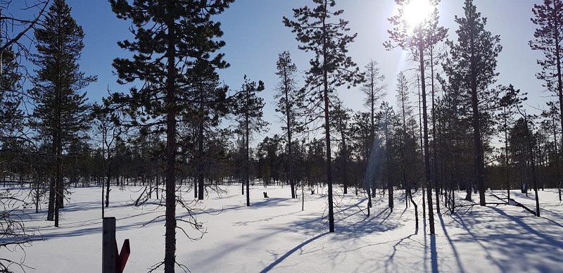 , Aurora Adventure Short Break in Finnish Lapland