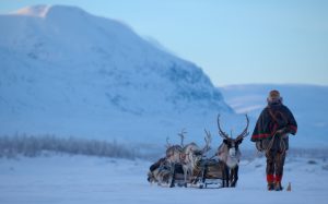 staffan widstrand sami lapland 1306