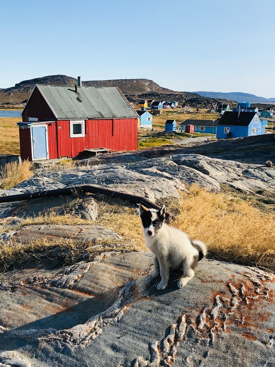 Ilimanaq settlement 