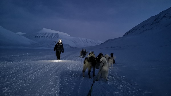 Svalbard dog sledding