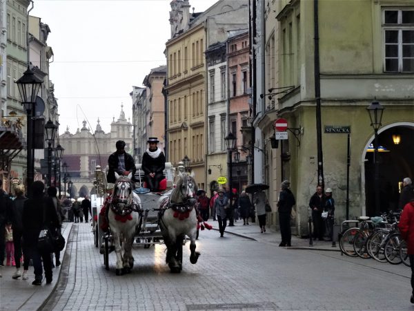 Krakow Old Town horses