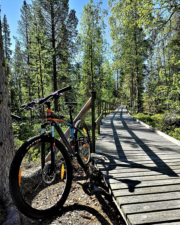 Mountain biking in Sweden