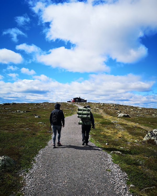 Nature Walk in Swedish Lapland 