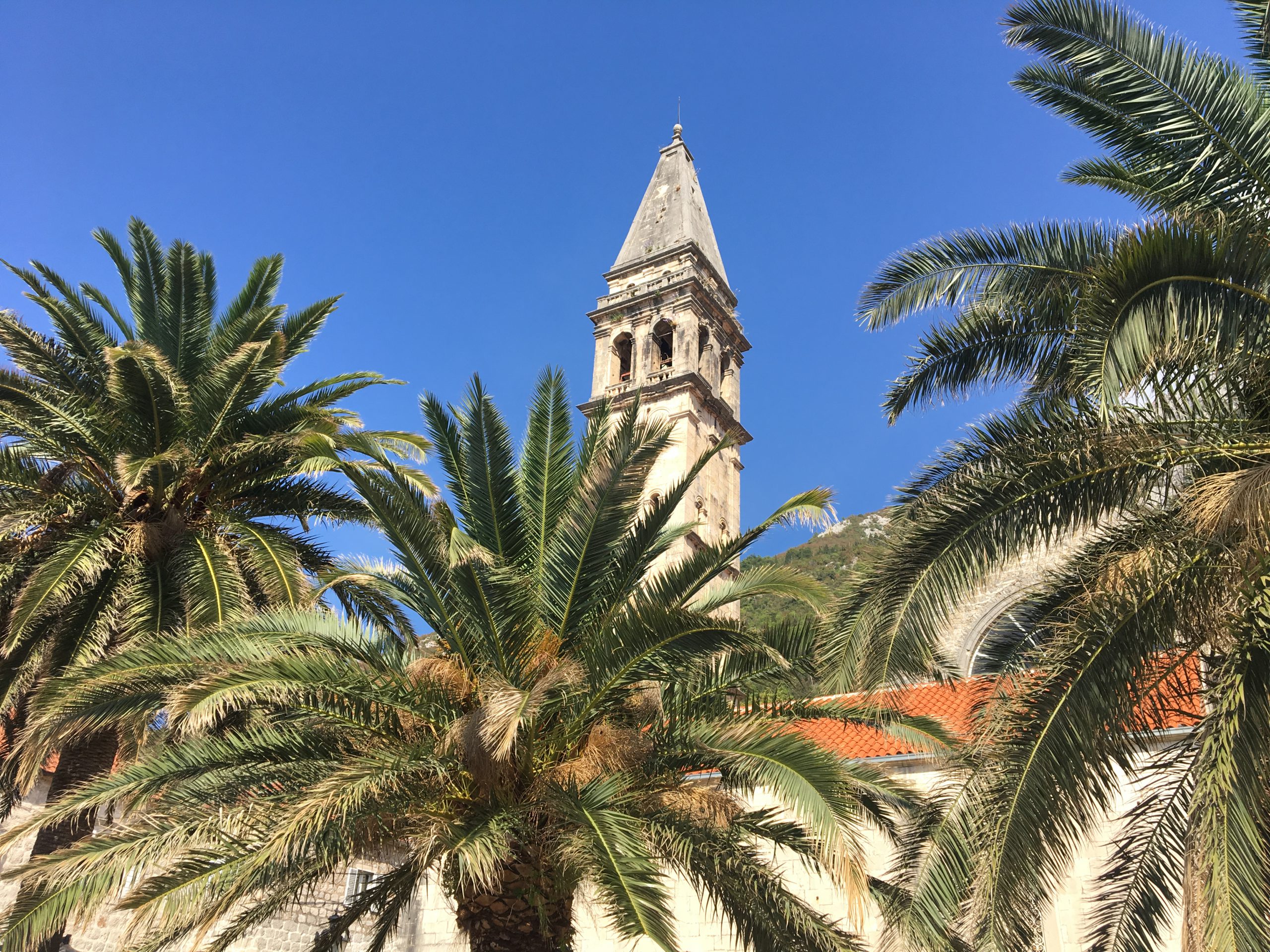 Balkan church - palm trees