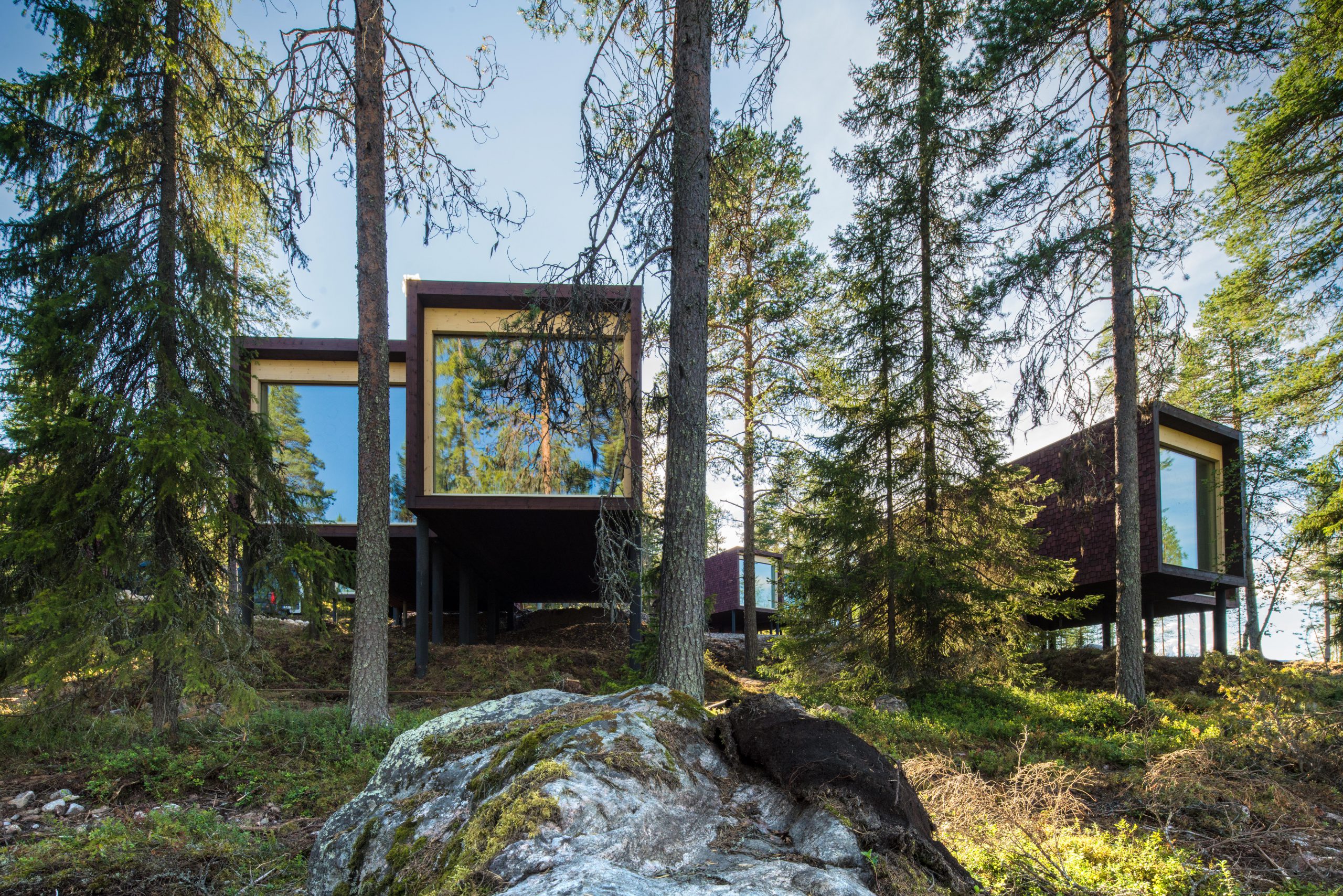 Arctic Treehouse Hotel / Visit Finland