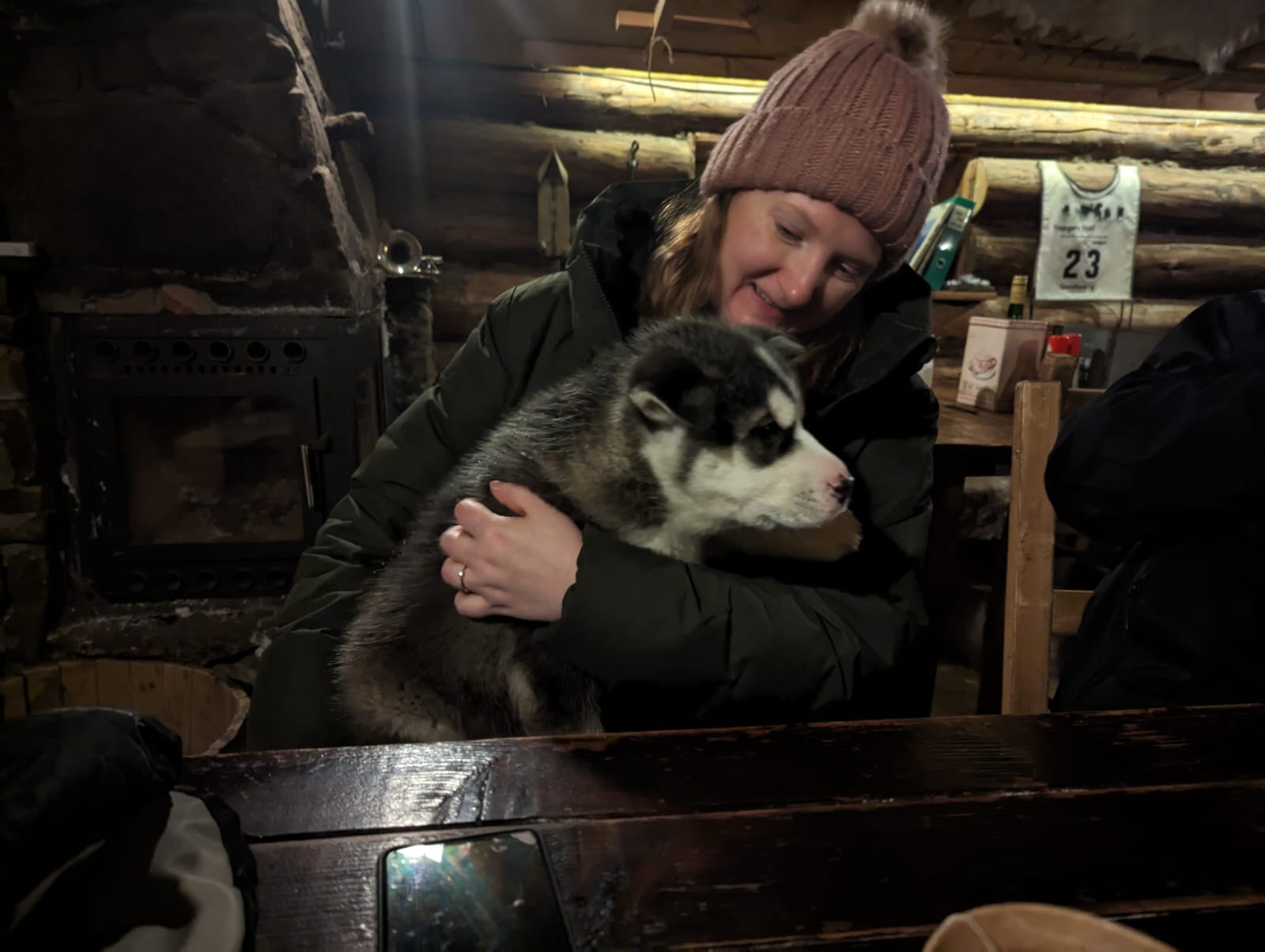 Dog Sledding at Bolterdalen