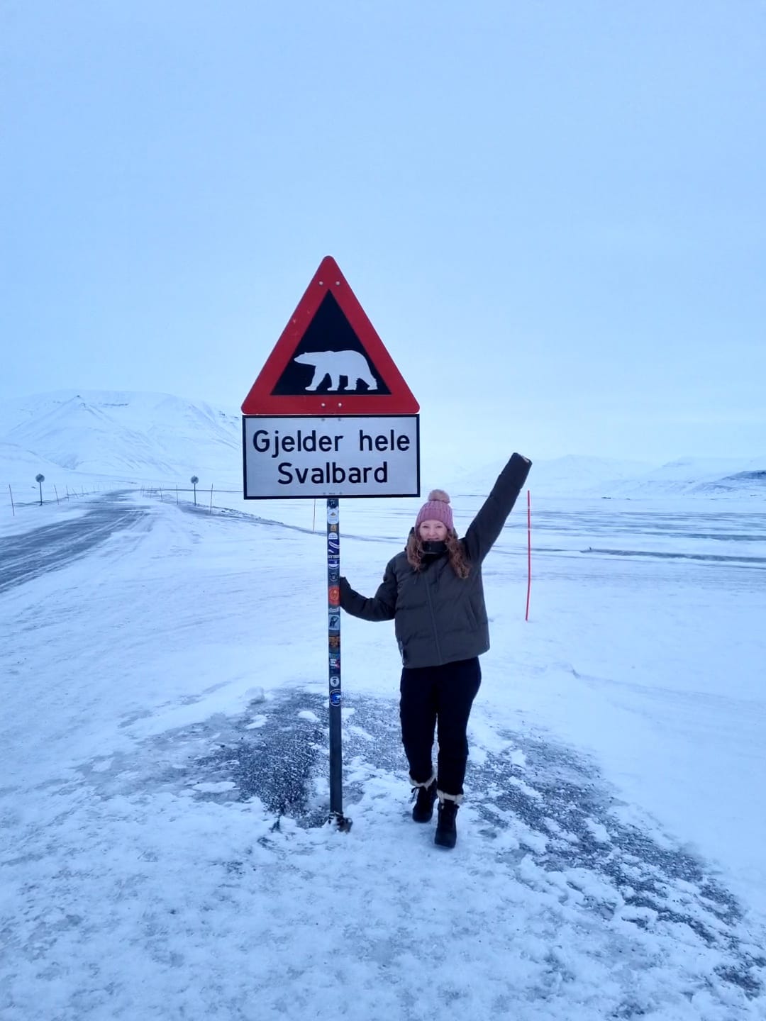 Polar bear sign