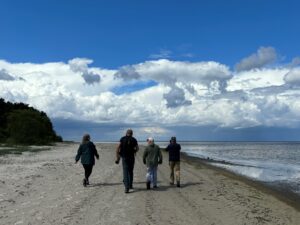 Moody Beach Shot Slitere
