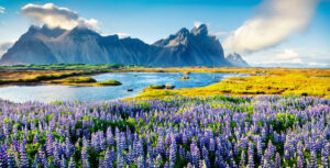 IcelandInSummer.jpg