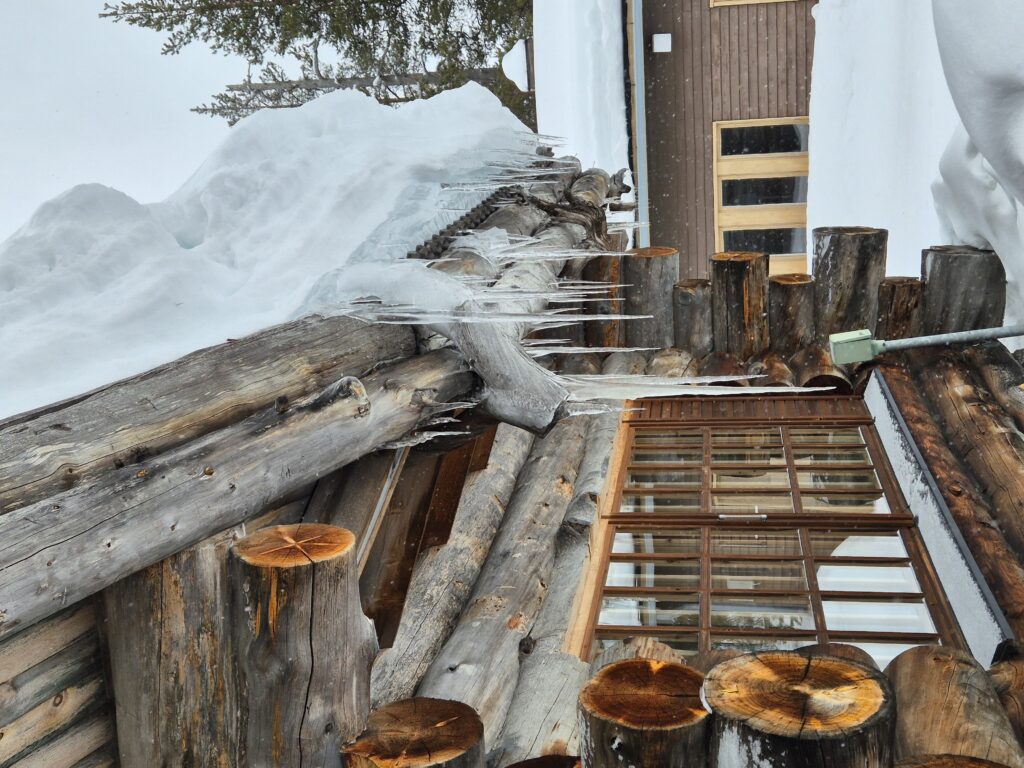 , Daina and Laura’s Journey – Northern Lights and Lappish Hospitality