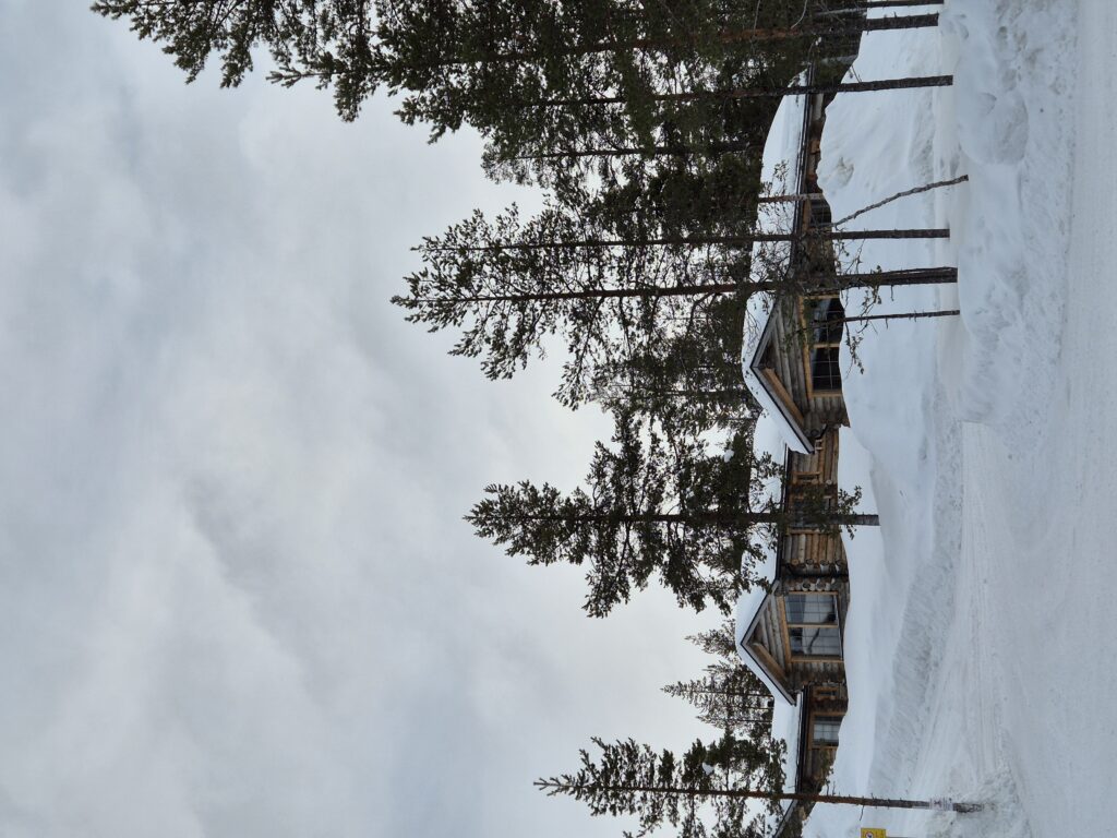 , Daina and Laura’s Journey – Northern Lights and Lappish Hospitality