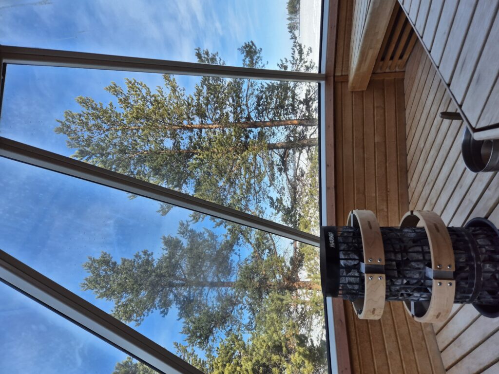 , Daina and Laura’s Journey – Northern Lights and Lappish Hospitality