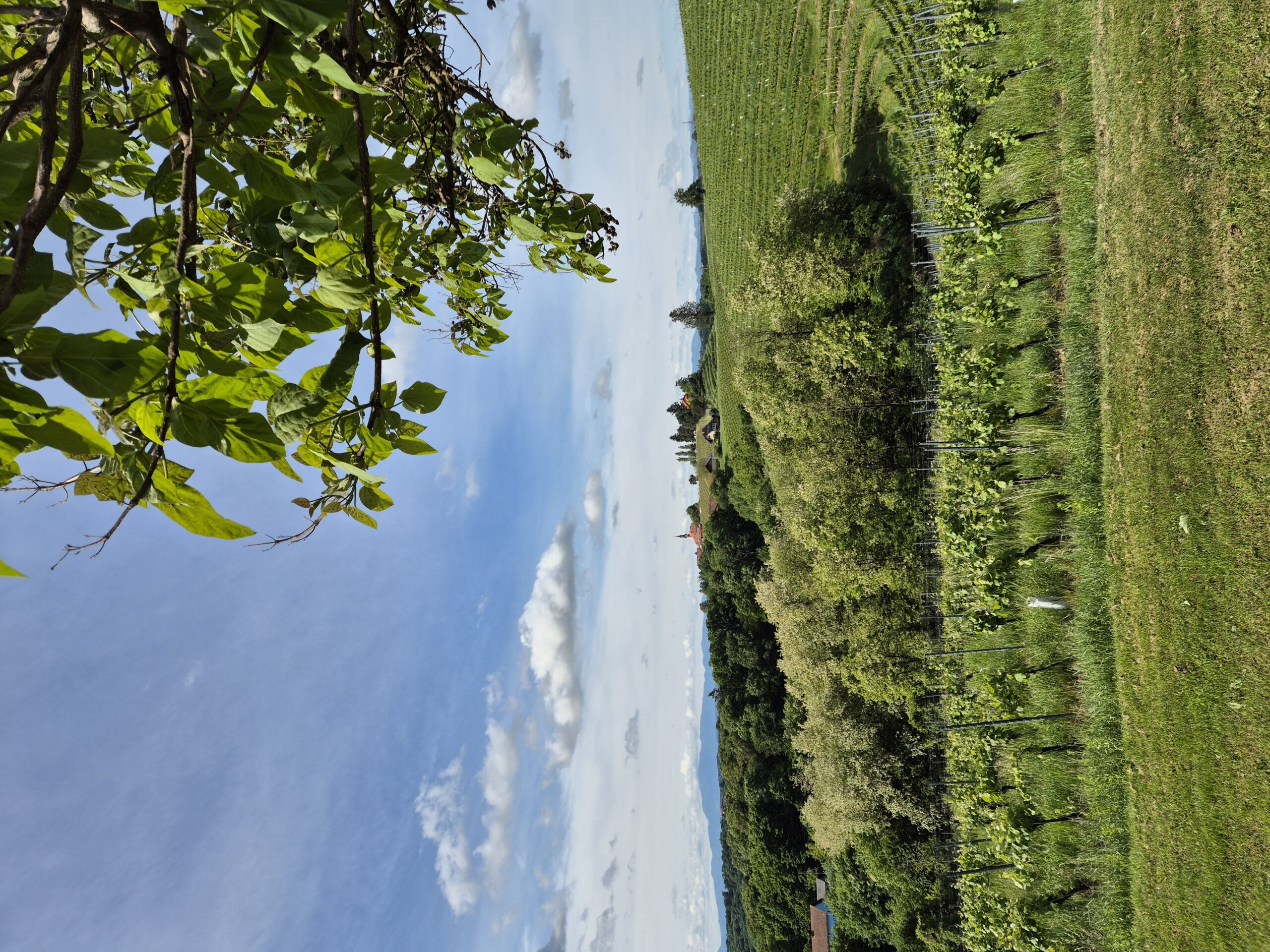 , Laura’s Journey – A Storybook Journey Through Slovenia