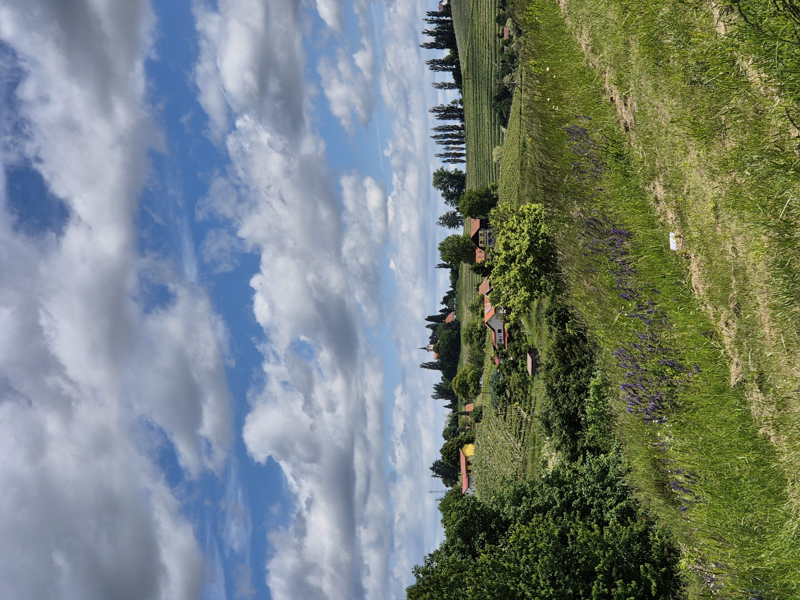 , Laura’s Journey – A Storybook Journey Through Slovenia
