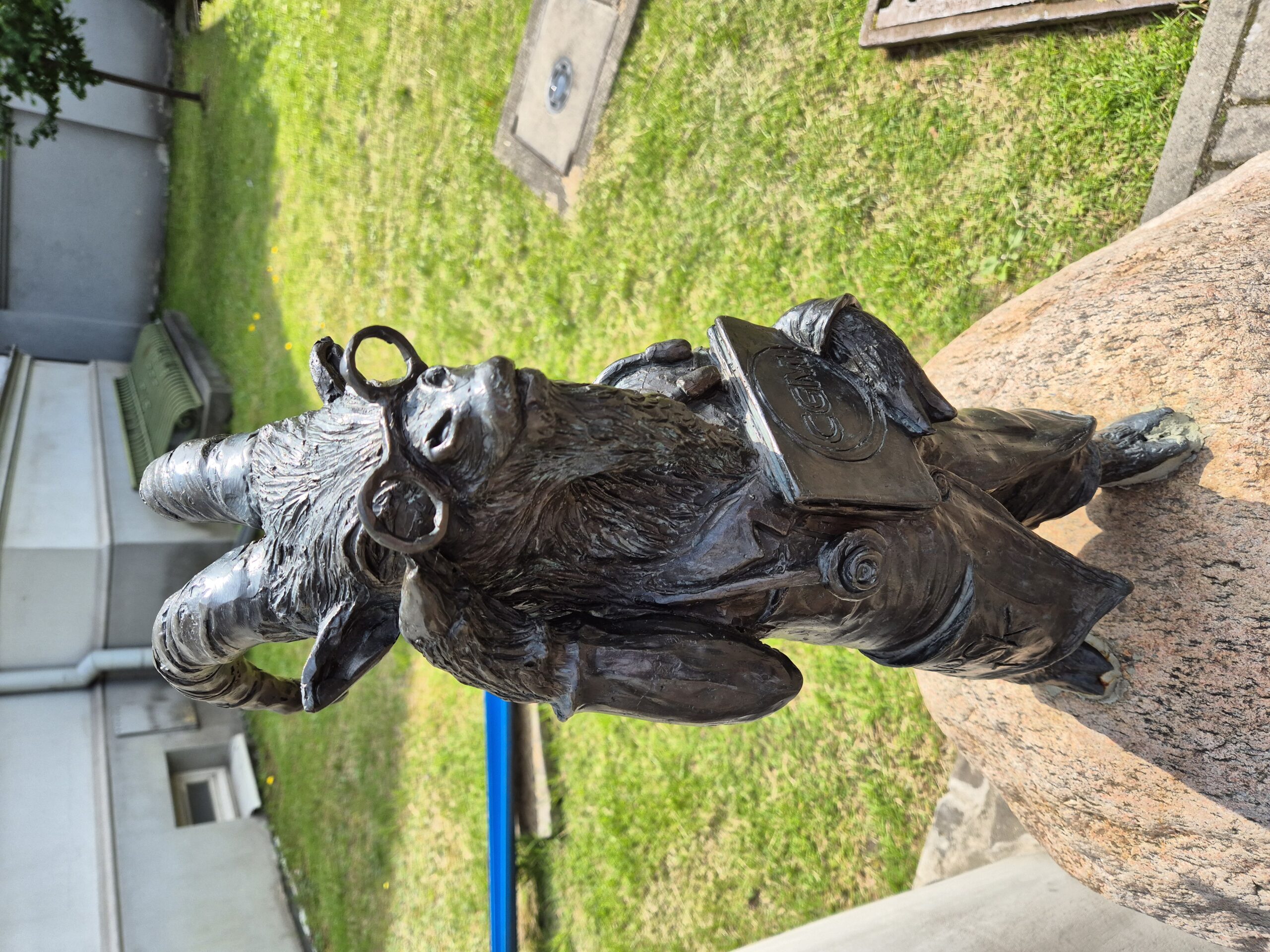 Small Goat statue in Lublin wearing glasses and stetoscope