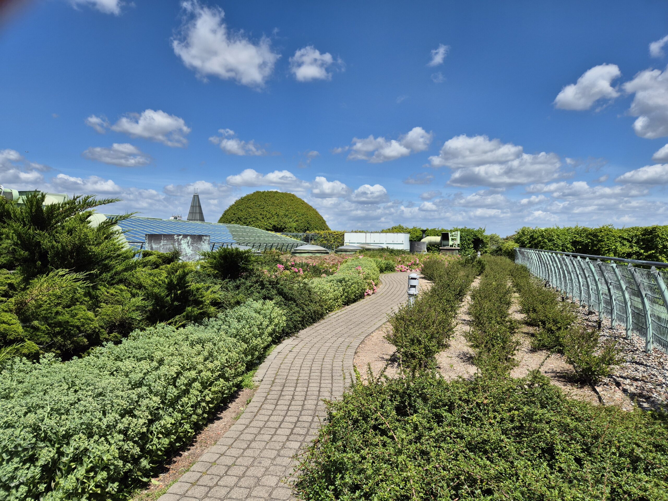 Green space on the rooftop garden of the University of Warsaw Library 