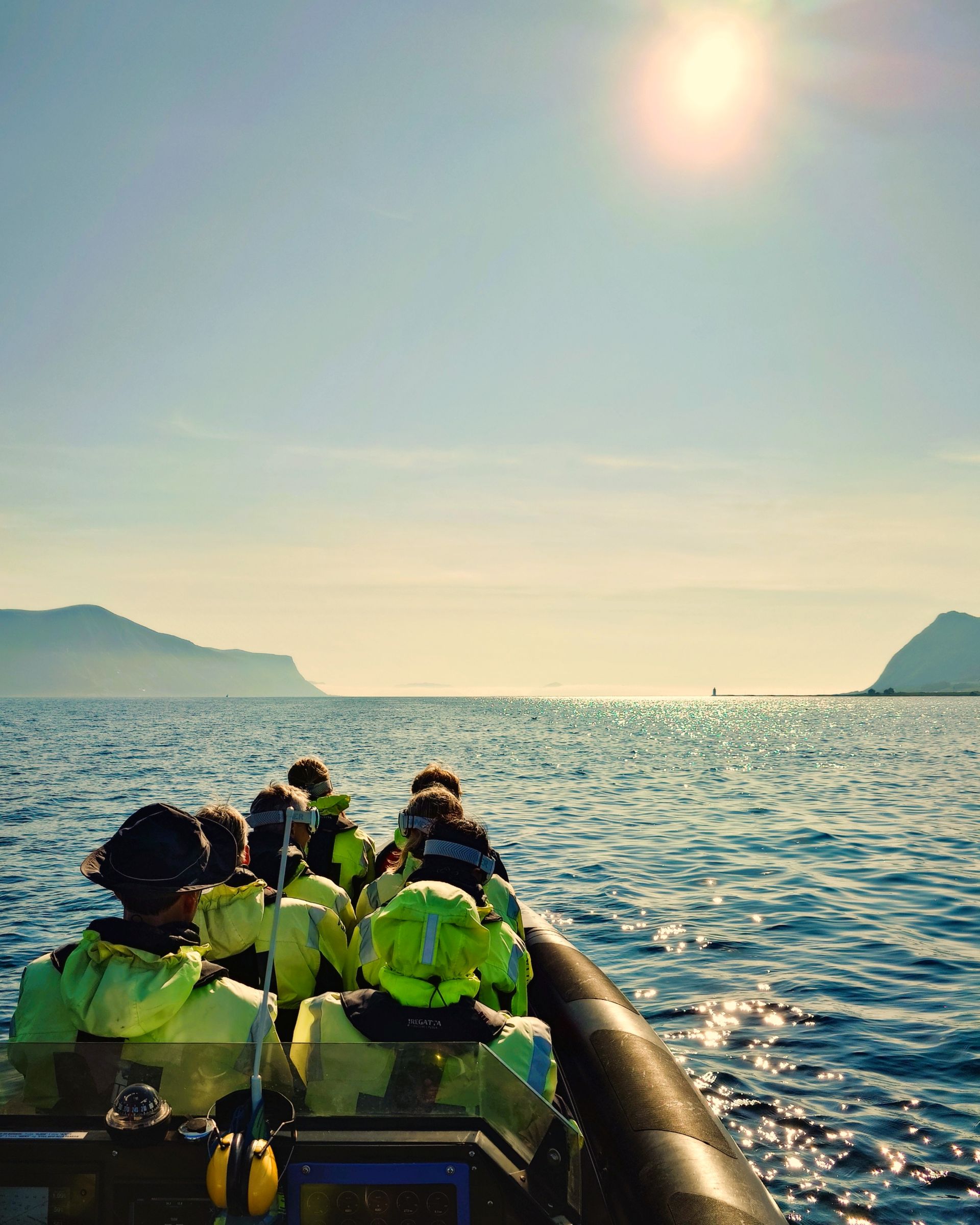 Alesund Bird Island RIB