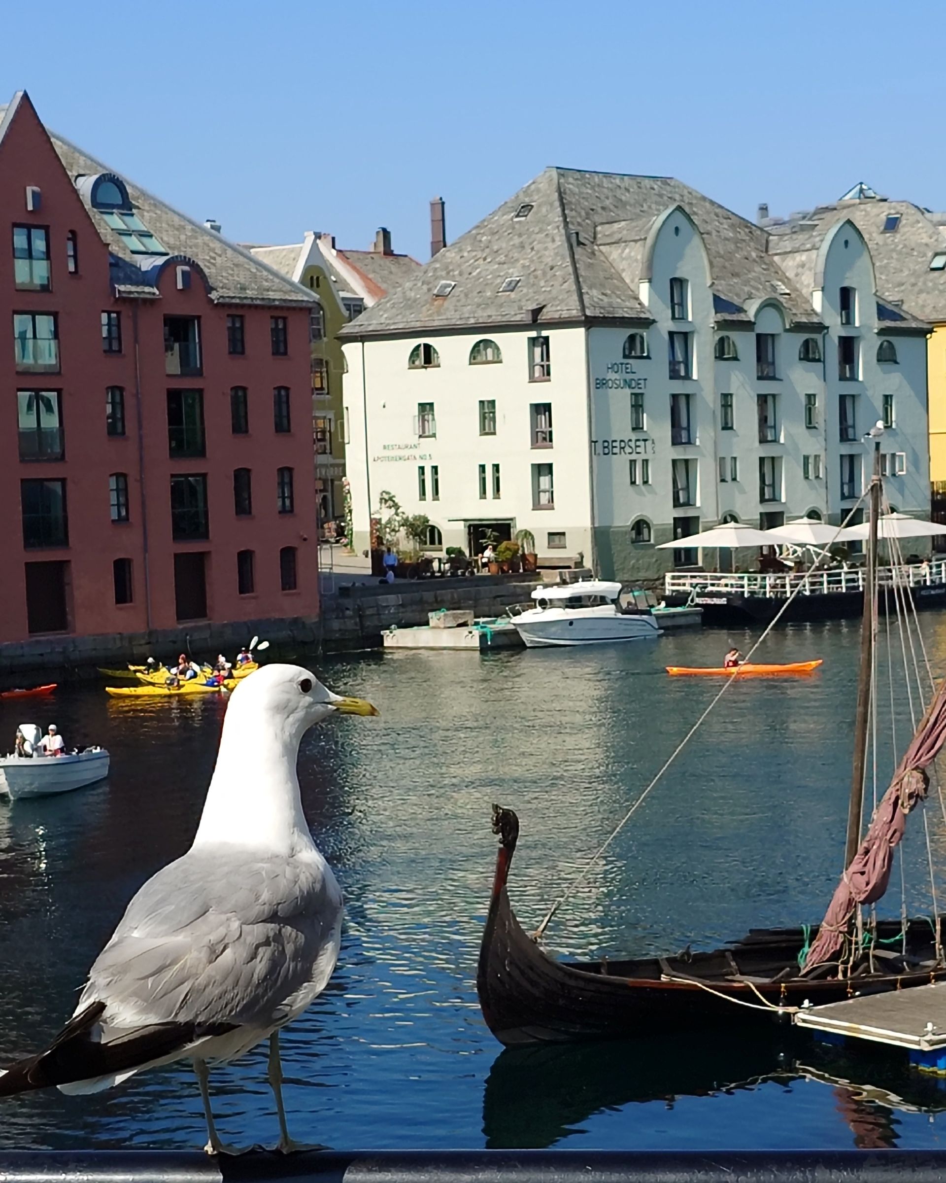 Alesund Seagull