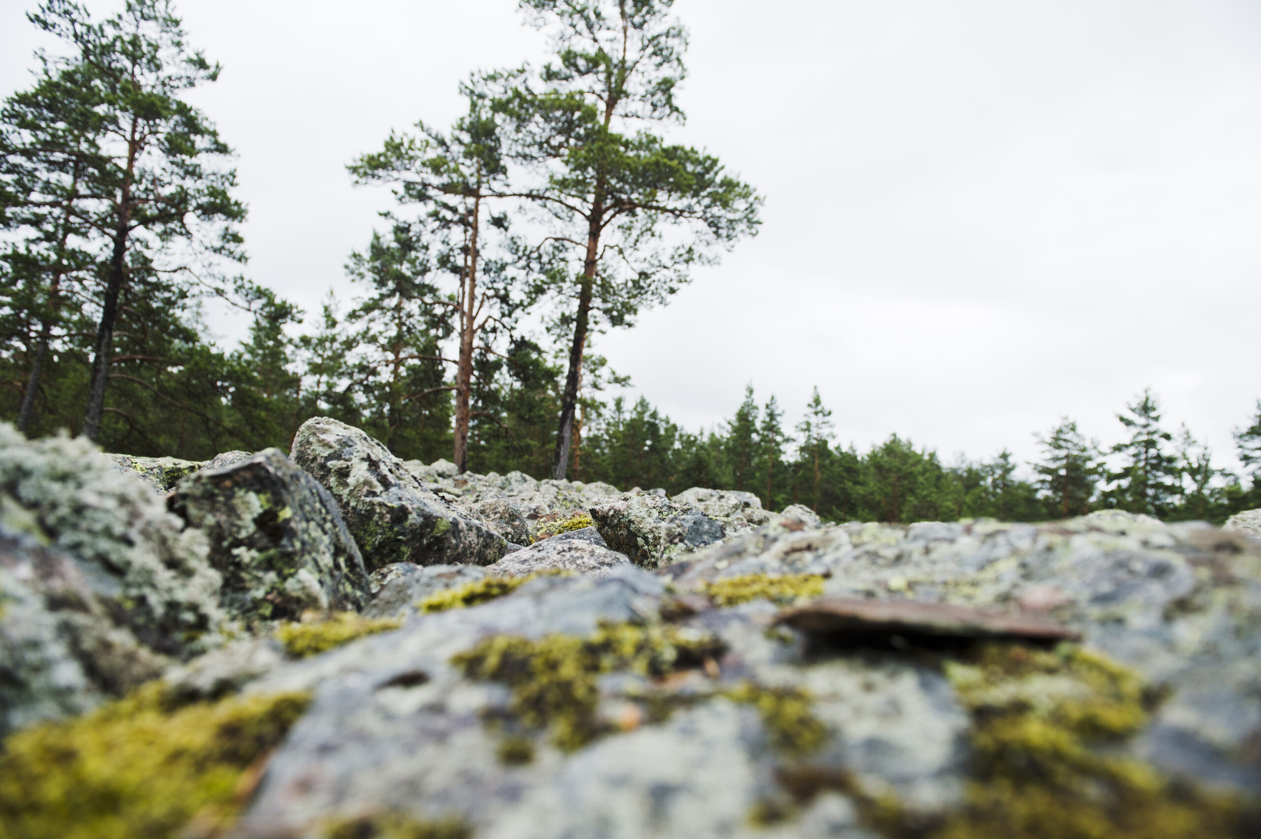 Sammallahdenmäki by Juho Kuva / Business Finland