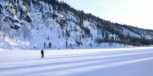 Embracing Finnish happiness Finland