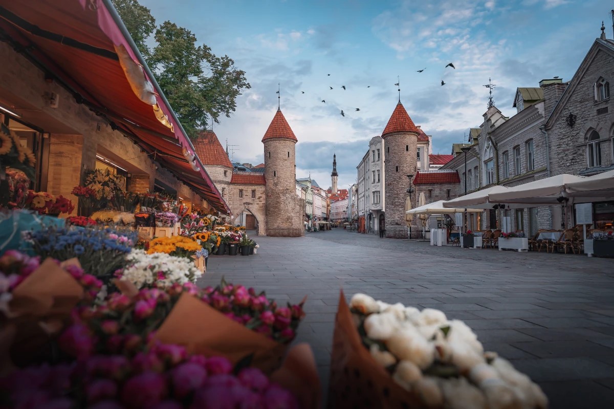 Recommended Tours for Booking Baltic Holidays