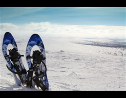 Snow Shoes