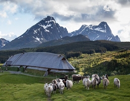 Kjell Ove Storvik-Borg for Lofotr Viking Museum