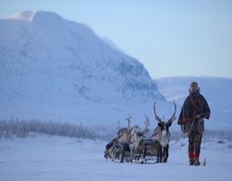 Facts on the Sami people: Culture, history & locality