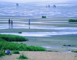 Vadehavet, photo by Visit Denmark