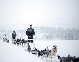 Photo by Marten Bril for Visit Norway