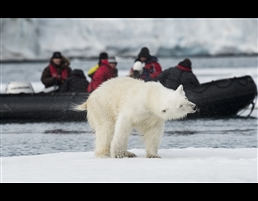 By North Norway Tourism