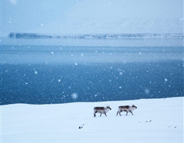 Photo by Basecamp Explorer