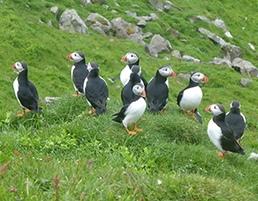 Walking in the Faroe Islands