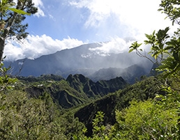 Reunion Island