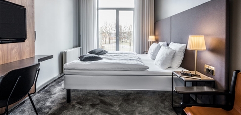 Scandic The Mayor - Standard Double Room