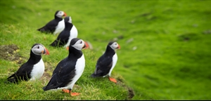 Photo by Kimberly Coole