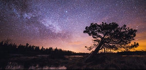 The Daisy Route | Baltic Travel Company
